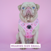 Milkshake Pink Adjustable Dog Harness