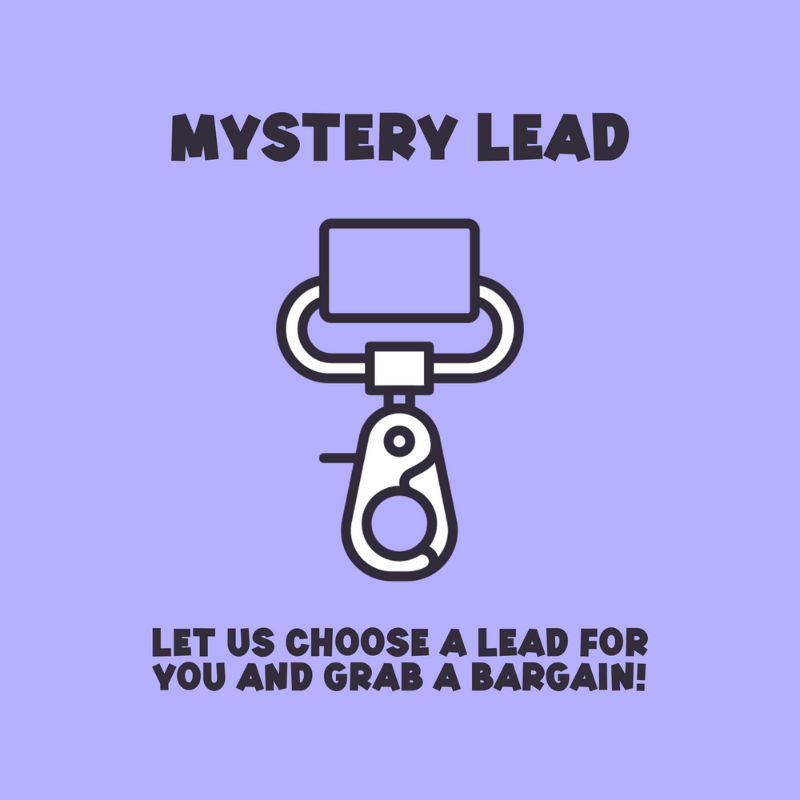 Mystery Dog Lead