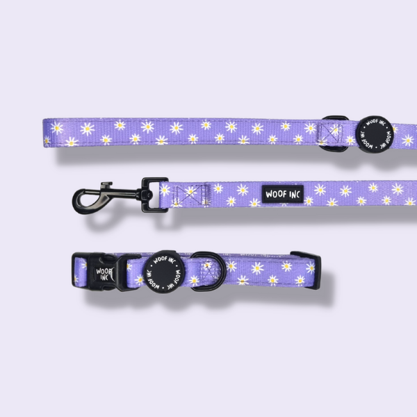Purple Daisy Collar and Lead Set