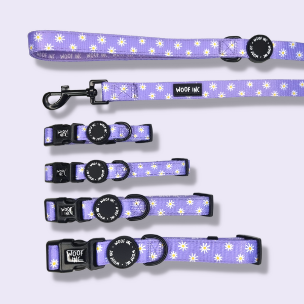 Purple Daisy Collar and Lead Set