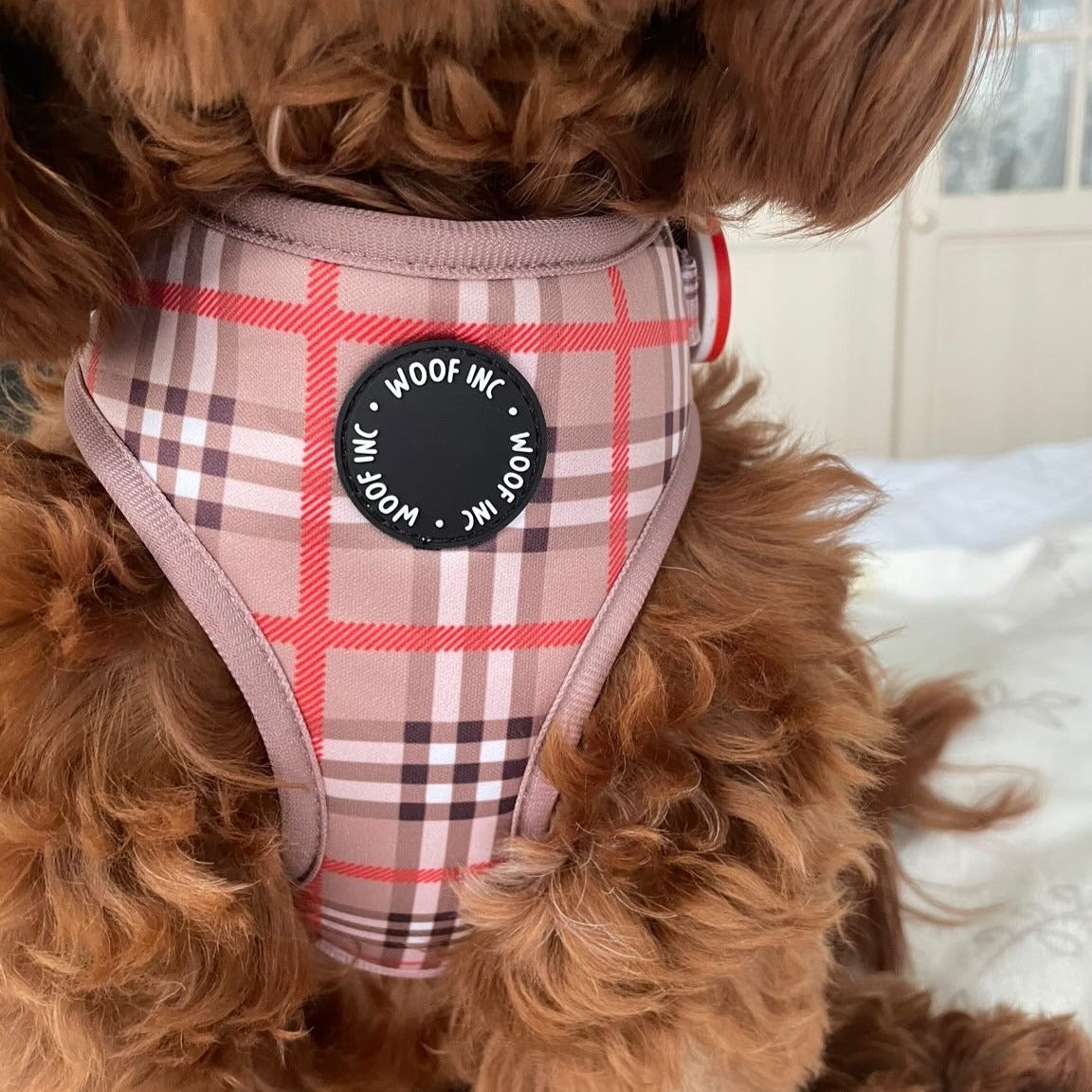 Nude Tartan Bundle – WOOF INC - Main Image