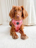 Load image into Gallery viewer, Red / Pink Tartan Harness