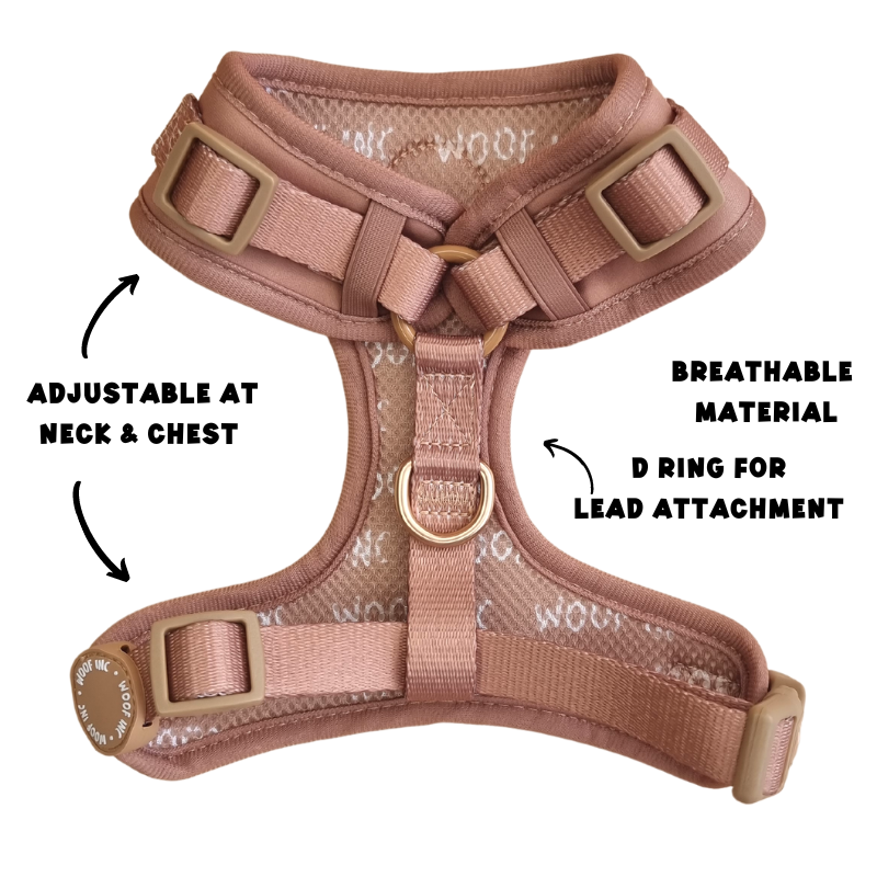 Caramel Adjustable Dog Harness