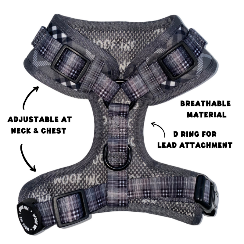 Black Tartan Adjustable Dog Harness