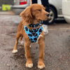 Load image into Gallery viewer, Blue Cookie Adjustable Dog Harness