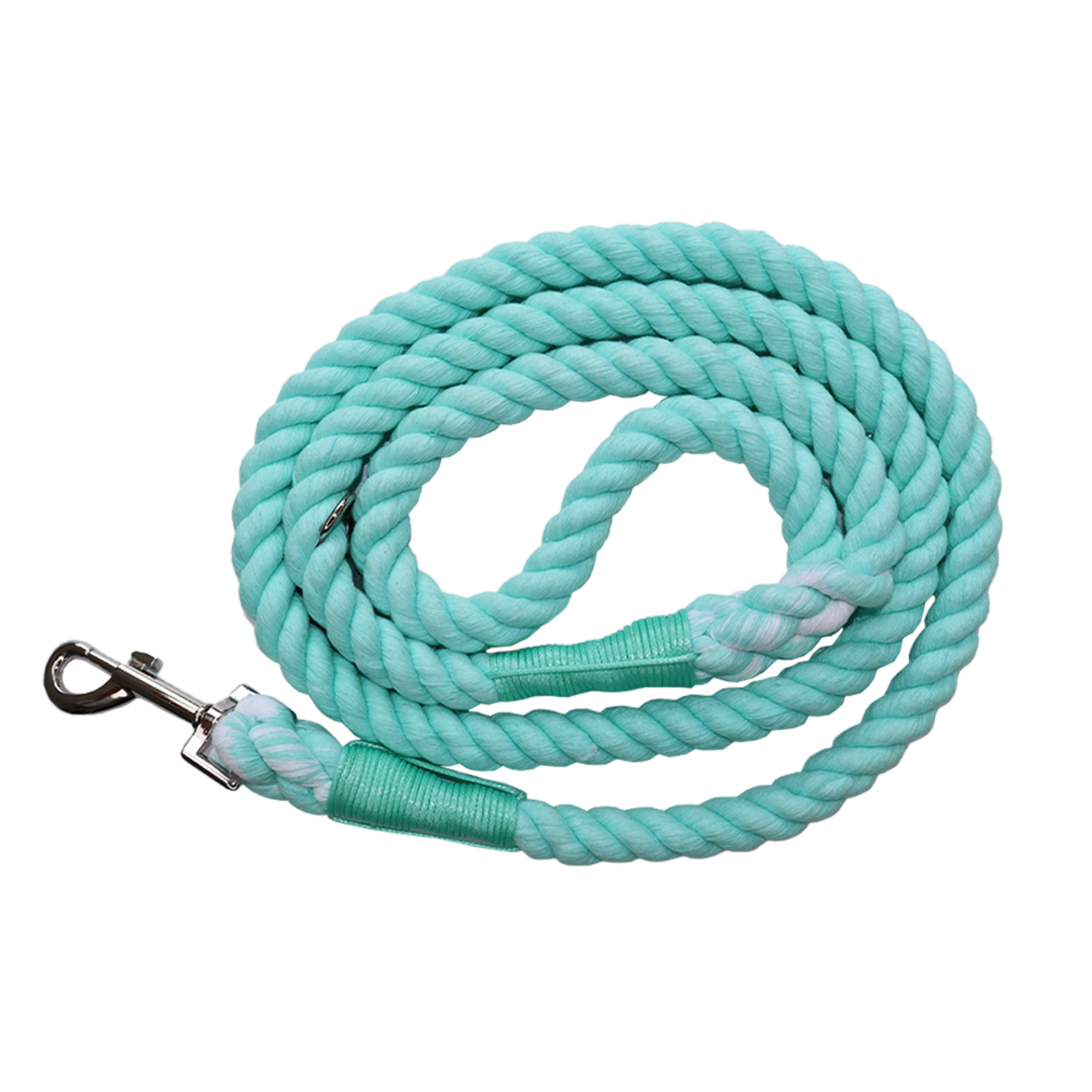 Mystery Rope Dog Lead