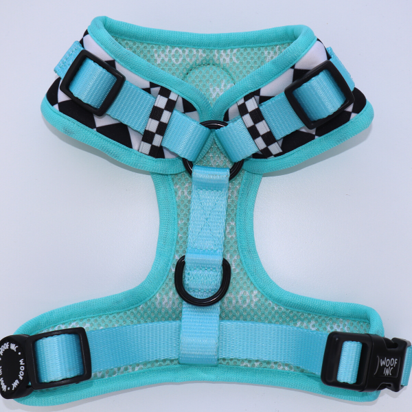 SECONDS Skater Pup Mint Adjustable Harness
