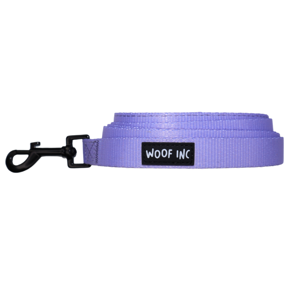 SECONDS Skater Pup Lilac Lead