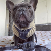 Black  / Grey Tartan Dog Harness Bundle