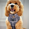 Black Tartan Adjustable Dog Harness