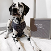 Load image into Gallery viewer, SECONDS Black Tartan Adjustable Dog Harness