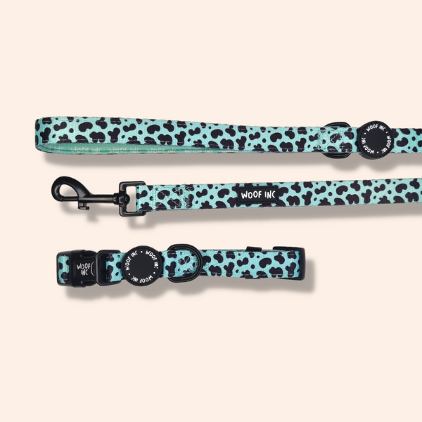 Mint Cow Funk Collar and Lead Set