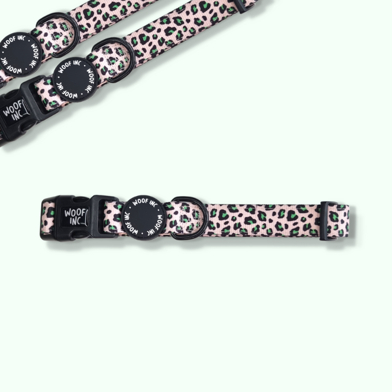 Neon Leopard Print Dog Collar