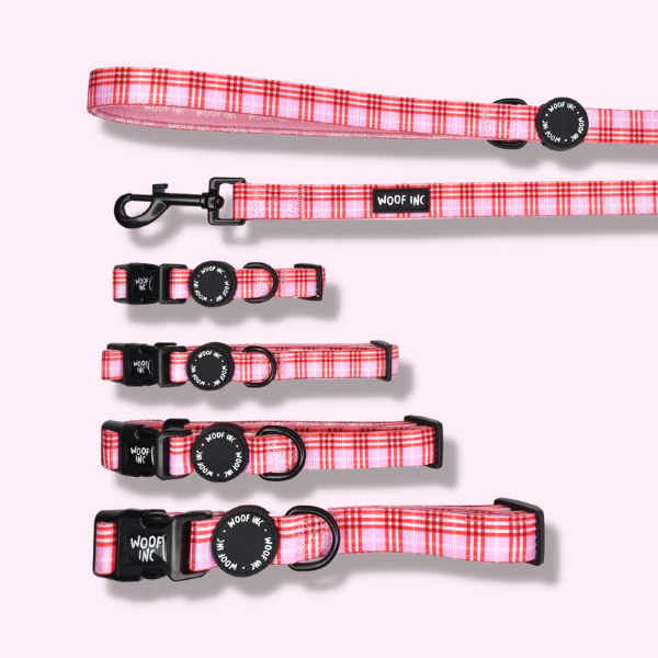 Red & Pink Tartan Collar and Lead Set
