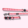 Red & Pink Tartan Collar and Lead Set